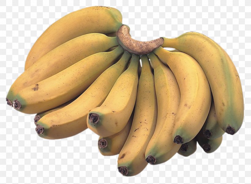 Saba Banana Musa Basjoo Musa Balbisiana Cooking Banana, PNG, 1024x754px, Saba Banana, Auglis, Banana, Banana Family, Cavendish Banana Download Free