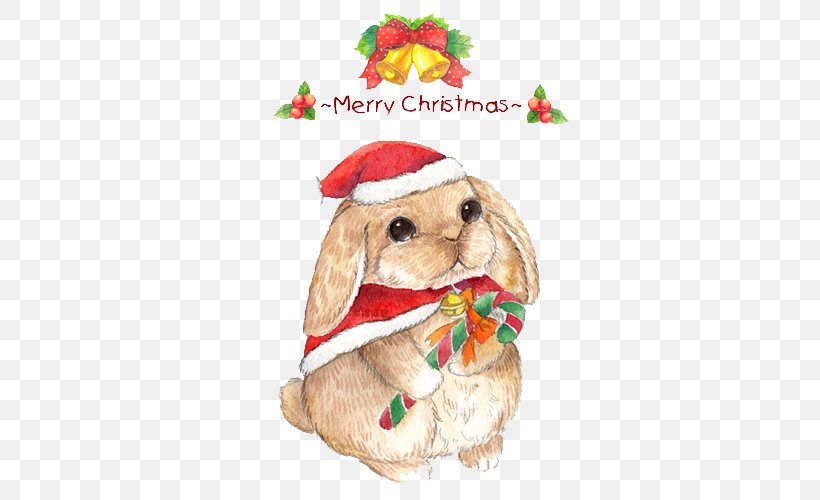 Christmas Eve The Magic Rabbit Cat, PNG, 500x500px, Christmas, Cat, Child, Christmas Decoration, Christmas Eve Download Free
