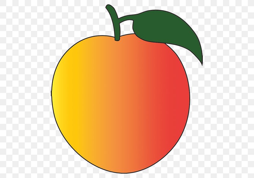 Clip Art Citrus Line Apple, PNG, 517x575px, Citrus, Apple, Drupe, Flowering Plant, Food Download Free