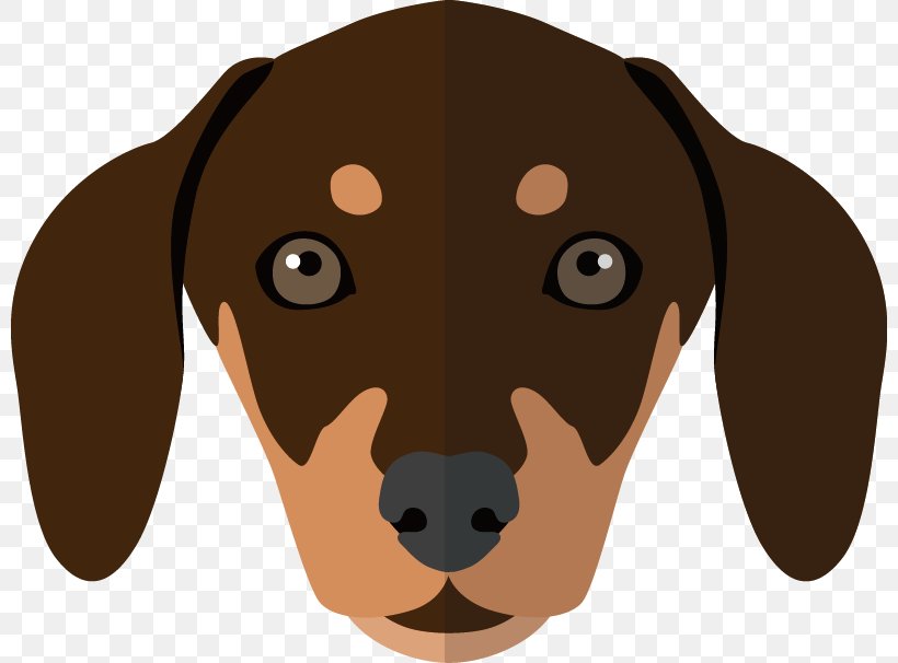 Dachshund Basset Hound Puppy Dog Breed, PNG, 800x606px, Dachshund, Bark, Basset Hound, Breed, Carnivoran Download Free