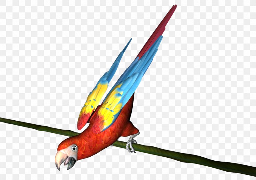 Macaw Parakeet 諾基亞 Eiffel Tower Feather, PNG, 1024x724px, Macaw, Beak, Bird, Common Pet Parakeet, Eiffel Tower Download Free