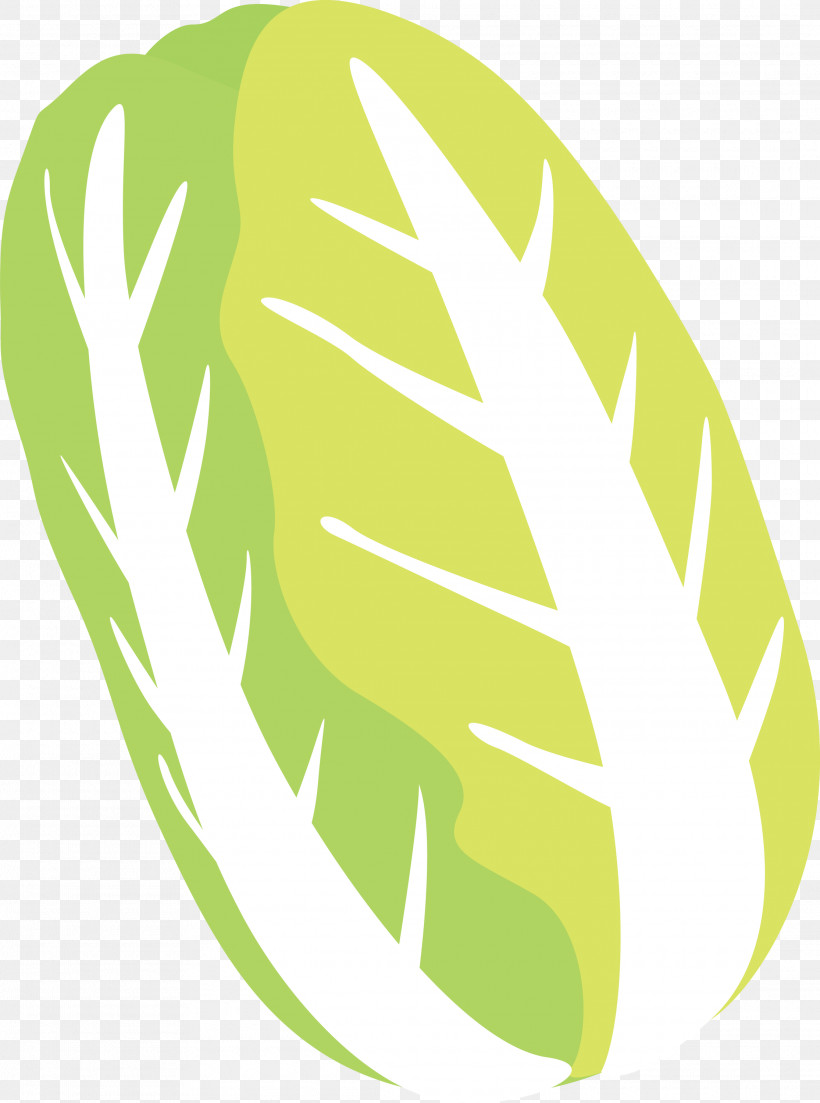 Nappa Cabbage, PNG, 2230x3000px, Nappa Cabbage, Green, Leaf, Leaf Vegetable, Logo Download Free