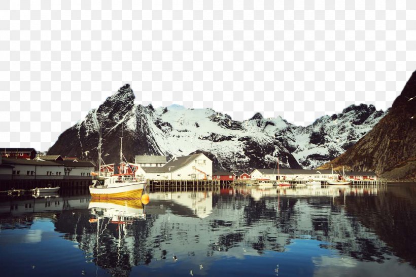 Reine Lofoten Gulls Bird Wallpaper, PNG, 1100x734px, Reine, Bird, Building, Desktop Metaphor, Gulls Download Free