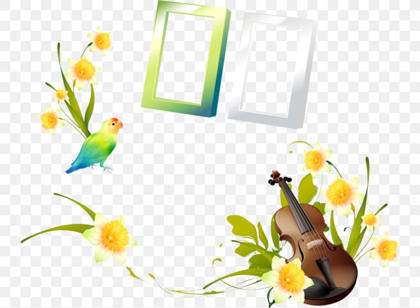 Vector Graphics Clip Art Floral Design Cello Euclidean Vector, PNG, 740x601px, Floral Design, Beak, Bird, Cello, Common Pet Parakeet Download Free