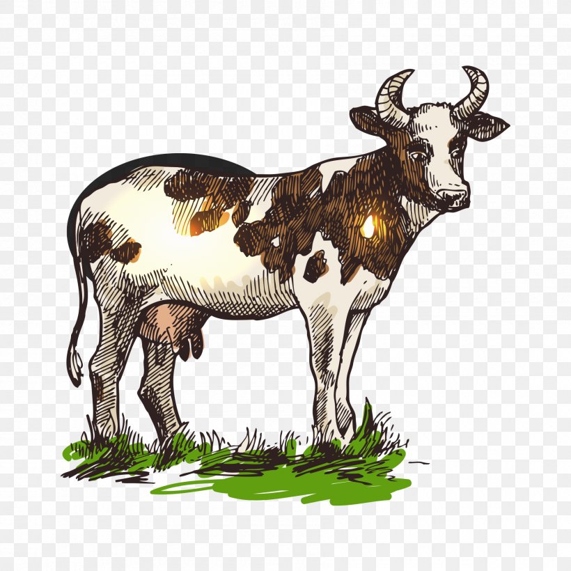 Cattle Drawing Illustration, PNG, 1800x1800px, Cattle, Cattle Like Mammal, Cow Goat Family, Drawing, Fauna Download Free