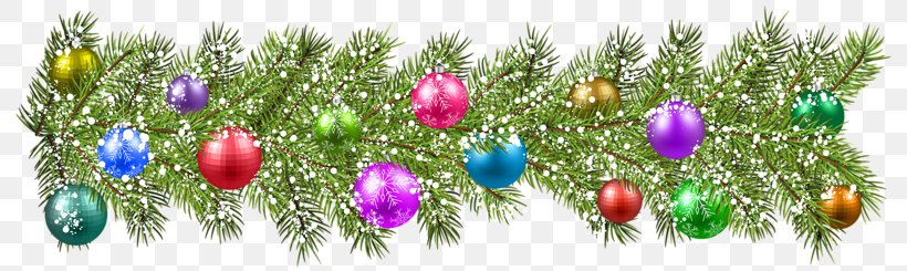 Christmas Ornament Christmas Decoration Clip Art, PNG, 800x245px, Christmas Ornament, Blue Christmas, Branch, Christmas, Christmas Decoration Download Free