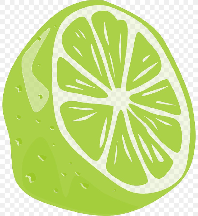 Clip Art Vector Graphics Key Lime, PNG, 800x895px, Lime, Citrus, Cocktail, Fruit, Green Download Free