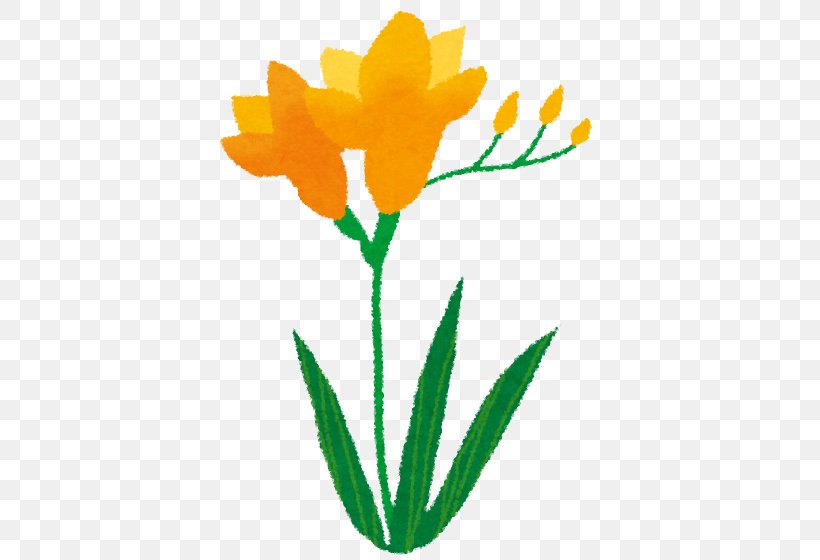 Tulip Freesia Cut Flowers Clip Art, PNG, 502x560px, Tulip, Animal, Artwork, Cut Flowers, Flora Download Free