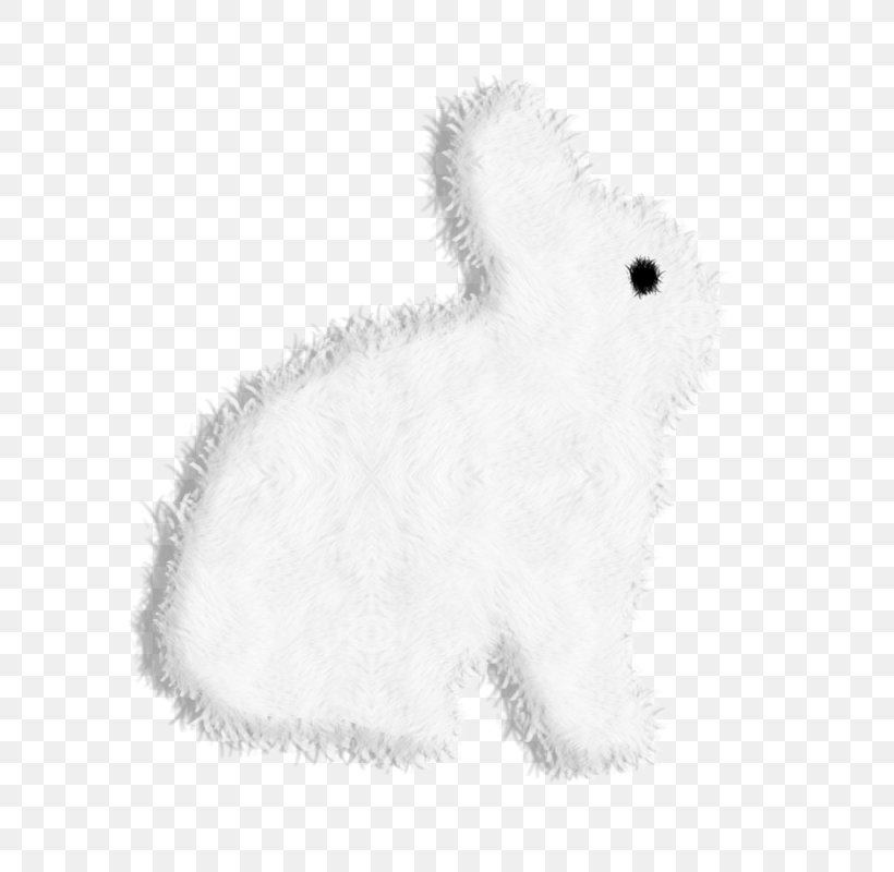 Domestic Rabbit Hare Rat Whiskers Dog, PNG, 800x800px, Domestic Rabbit, Black, Black And White, Carnivoran, Dog Download Free