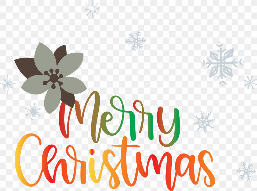 Merry Christmas, PNG, 3000x2236px, Merry Christmas, Flower, Logo, M, Text Download Free