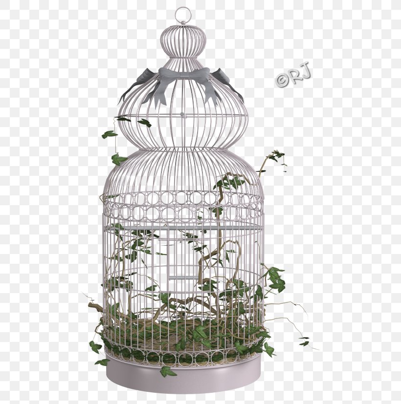 Product Design 4K Resolution, PNG, 530x827px, 4k Resolution, Cage, Flowerpot Download Free