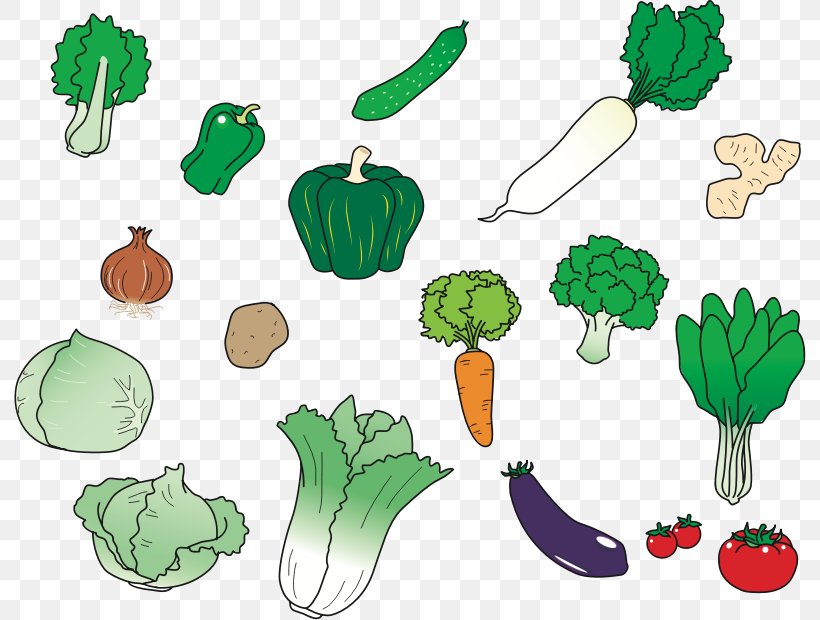 Vegetable Food Daikon Aubergines Carrot, PNG, 792x620px, Vegetable, Aubergines, Cabbage, Carrot, Chinese Cabbage Download Free