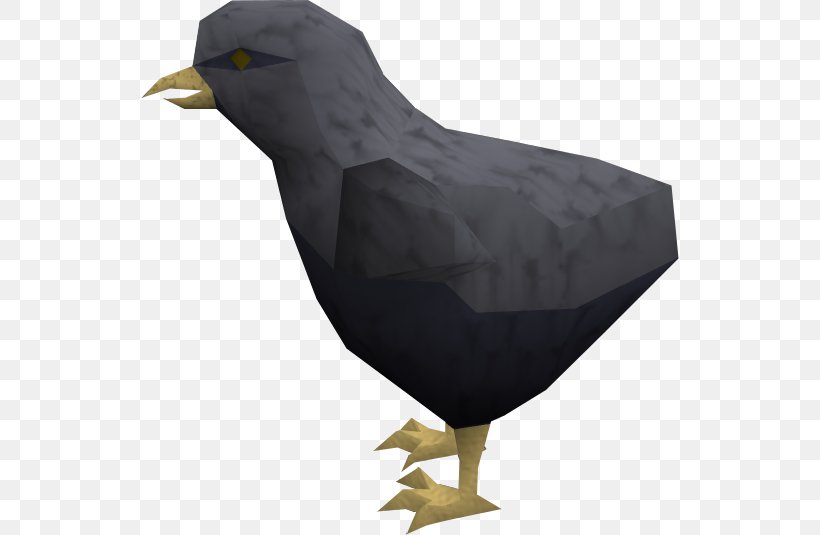 Bird Chicken Beak Kifaranga Baltimore Ravens, PNG, 538x535px, Bird, Animal, Baltimore Ravens, Beak, Chicken Download Free
