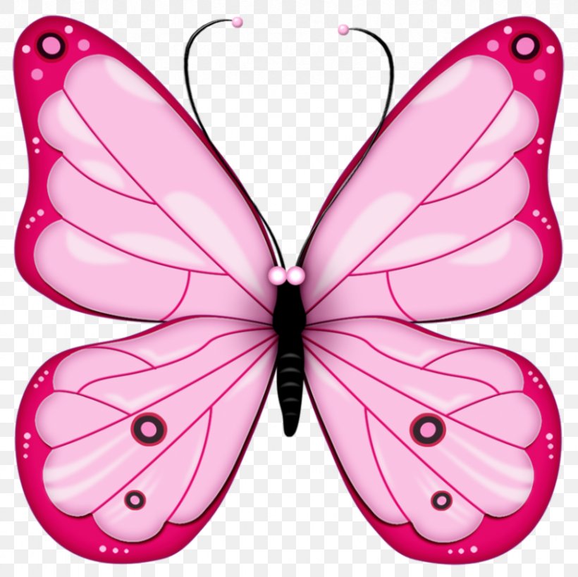Butterfly Free Clip Art, PNG, 846x845px, Butterfly, Arthropod, Brush Footed Butterfly, Color, Free Download Free