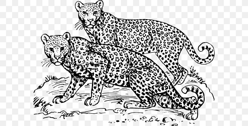 Cheetah Amur Leopard Snow Leopard Jaguar Clip Art, PNG, 600x418px, Cheetah, Amur Leopard, Animal Figure, Area, Art Download Free