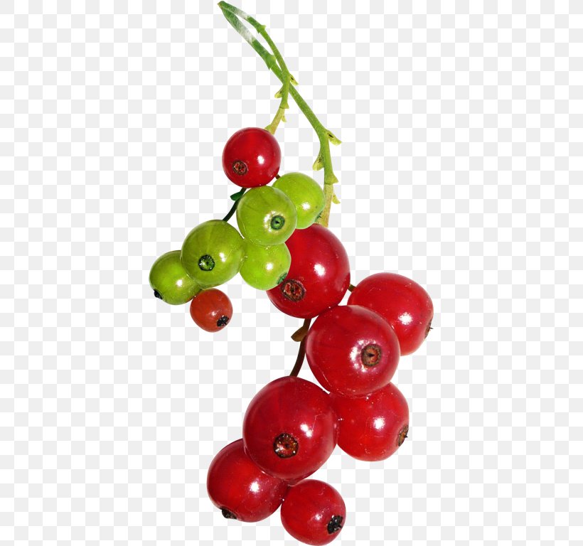 Clip Art Berries Fruit Image, PNG, 401x768px, Berries, Accessory Fruit, Berry, Blackcurrant, Cherry Download Free