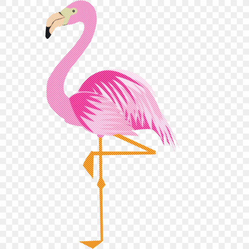 Flamingo, PNG, 1000x1000px, Flamingo, Beak, Bird, Feather, Greater Flamingo Download Free