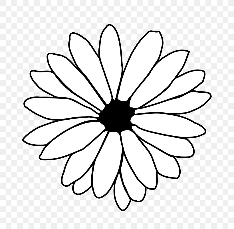 Line Art Flower Drawing Clip Art, PNG, 800x800px, Line Art, Area, Artwork, Black And White, Common Daisy Download Free