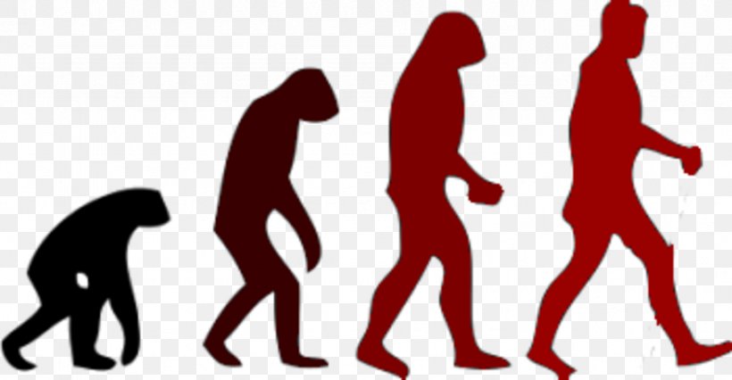 March Of Progress Human Evolution Neanderthal, PNG, 847x441px, March Of Progress, Ape, Area, Arm, Biology Download Free