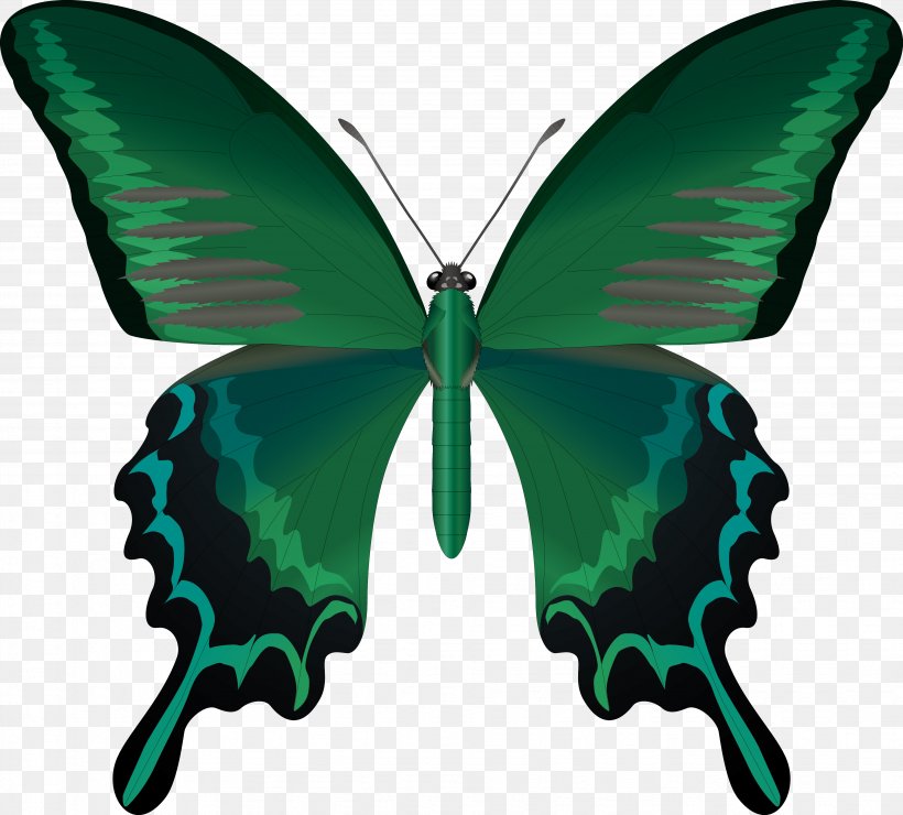 Butterfly Insect Wing Antenna Clip Art, PNG, 3881x3506px, Butterfly, Antenna, Arthropod, Brush Footed Butterfly, Butterflies And Moths Download Free