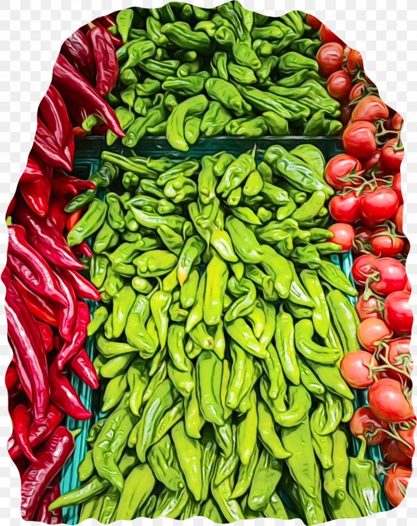 Eye Cartoon, PNG, 1049x1326px, Food, Bell Peppers And Chili Peppers, Birds Eye Chili, Chili Pepper, Common Bean Download Free
