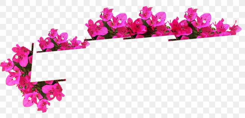Floral Design Cut Flowers Petal, PNG, 988x477px, Floral Design, Blossom, Cut Flowers, Floriculture, Flower Download Free