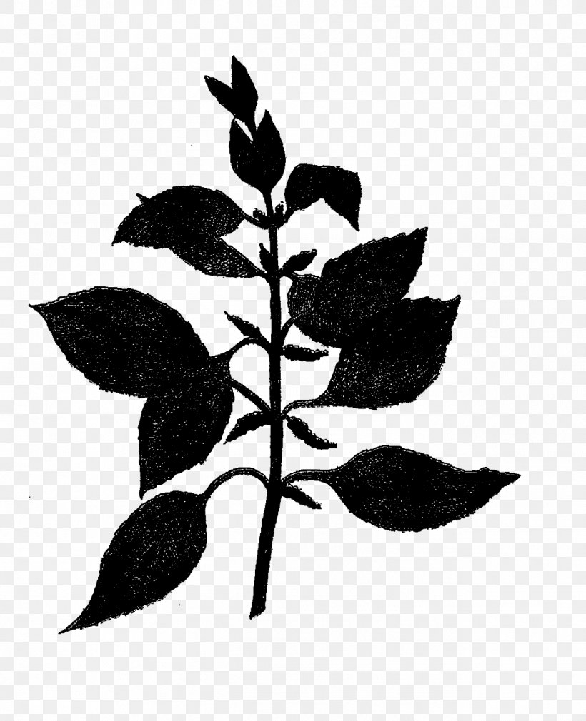Leaf Plant Stem Font Silhouette Flowering Plant, PNG, 1298x1600px, Leaf, Blackandwhite, Botany, Branching, Flower Download Free