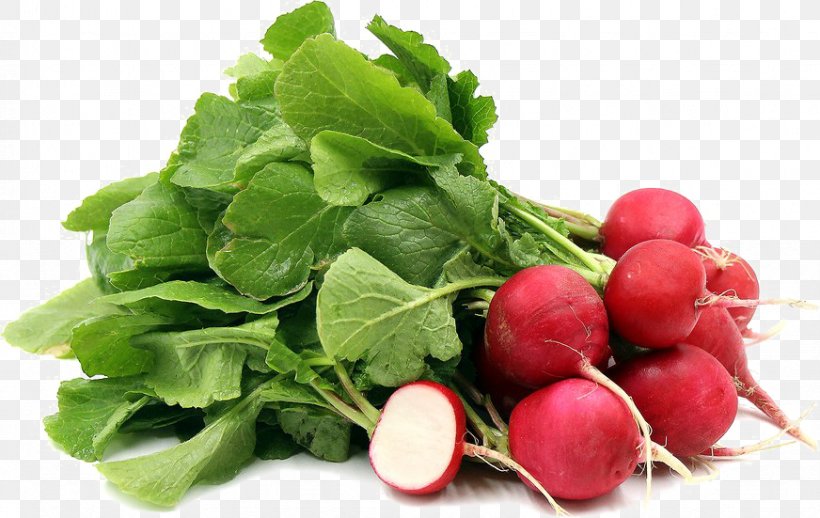 Organic Food Vegetable Daikon Seed, PNG, 872x551px, Organic Food, Beet, Beetroot, Chard, Cranberry Download Free
