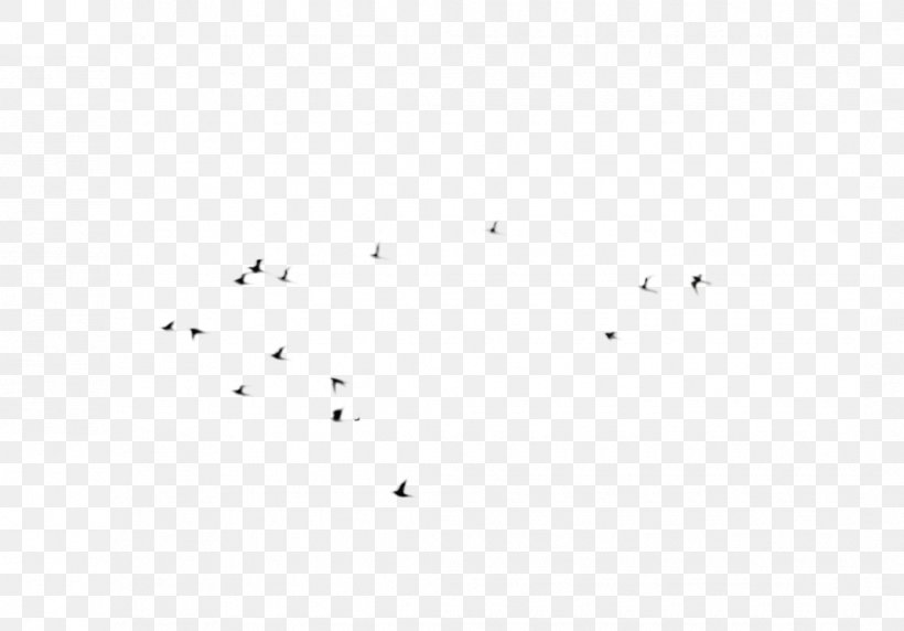 Point Angle Font Sky Plc Flock, PNG, 1070x747px, Point, Area, Bird, Black, Black And White Download Free