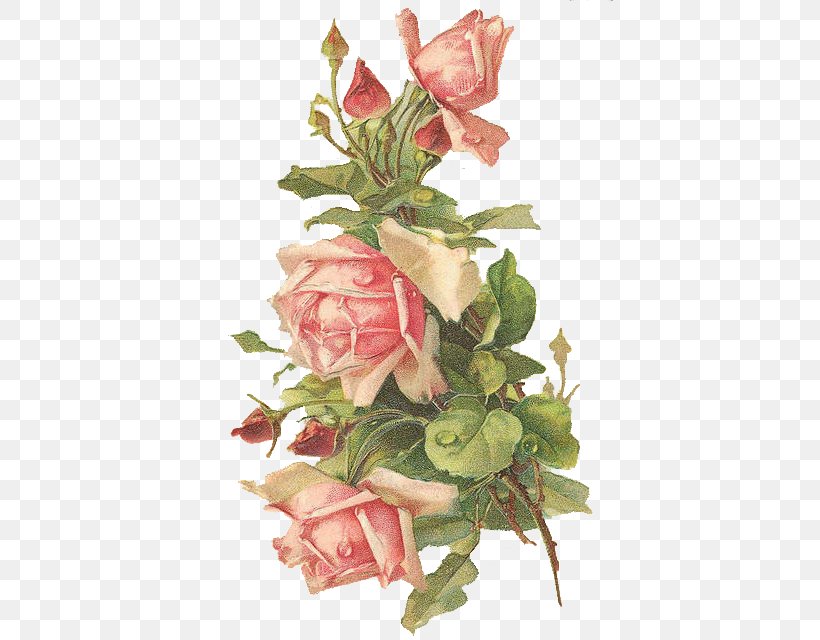 Rose Pink Clip Art, PNG, 407x640px, Rose, Artificial Flower, Color, Cut Flowers, Ephemera Download Free