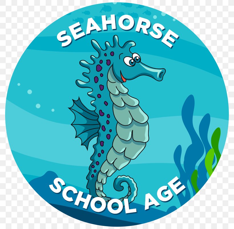 Seahorse Learning Swimming Lessons Child, PNG, 800x800px, Seahorse, Aqua, Child, Course, Evaluation Download Free