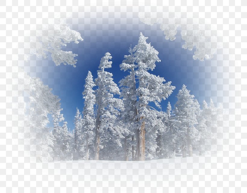 Winter Season Clip Art Guzeller, PNG, 800x640px, Winter, American Larch, Atmospheric Phenomenon, Autumn, Branch Download Free
