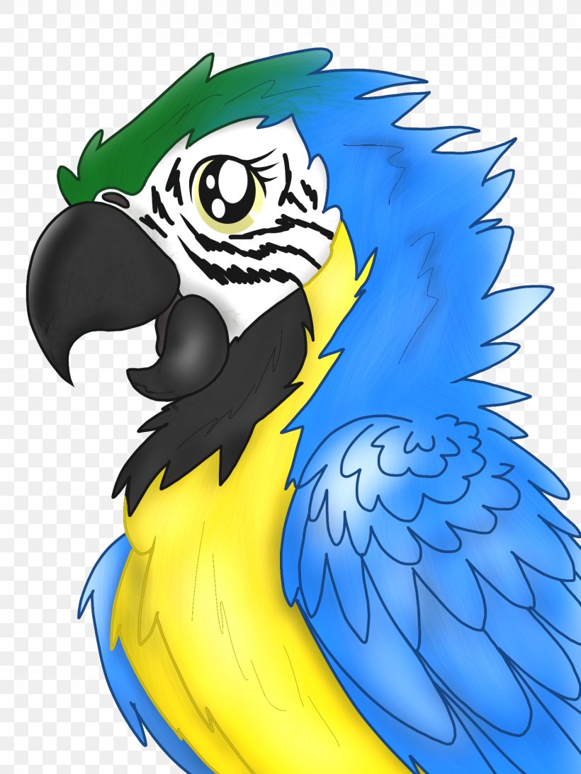 Macaw Parrot Beak Cartoon, PNG, 1536x2048px, Macaw, Art, Beak, Bird, Cartoon Download Free