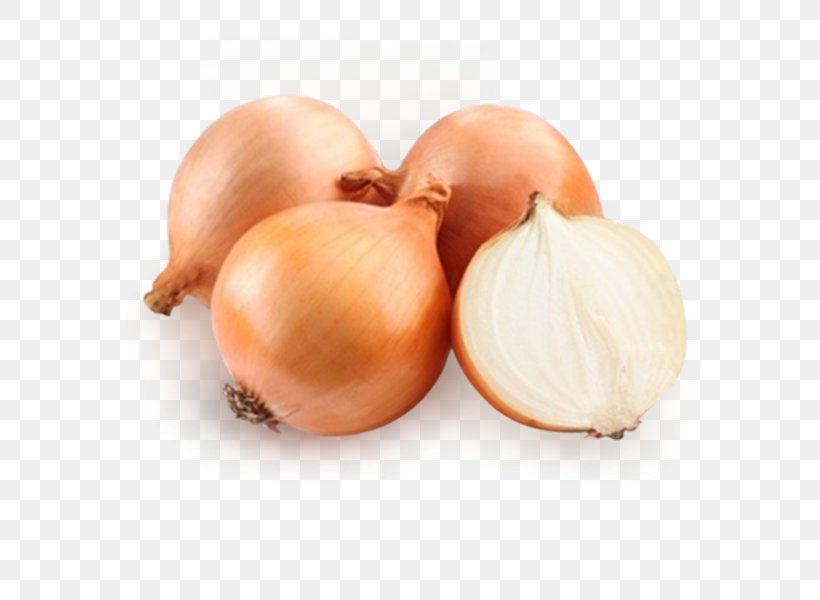 Onion Vegetable Food Photography Legume, PNG, 600x600px, Onion, Cultivar, Food, Garlic, Ingredient Download Free