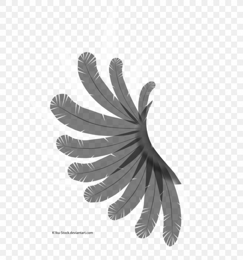Wing Black And White Feather Bird, PNG, 900x960px, Wing, Art, Bird, Black And White, Butterfly Download Free
