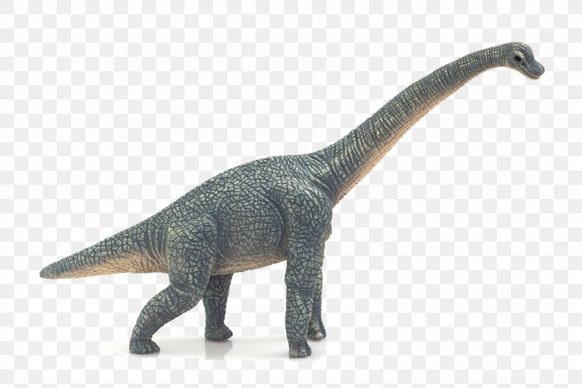 Brachiosaurus Triceratops Dinosaur Tyrannosaurus Spinosaurus, PNG, 4476x2984px, Brachiosaurus, Animal, Animal Figure, Apatosaurus, Brontosaurus Download Free
