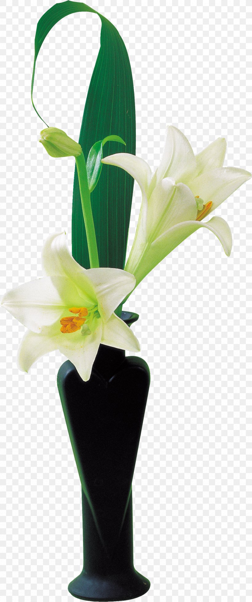 Cut Flowers Vase Lilium, PNG, 1178x2816px, Flower, Artificial Flower, Cut Flowers, Fleurdelis, Flora Download Free