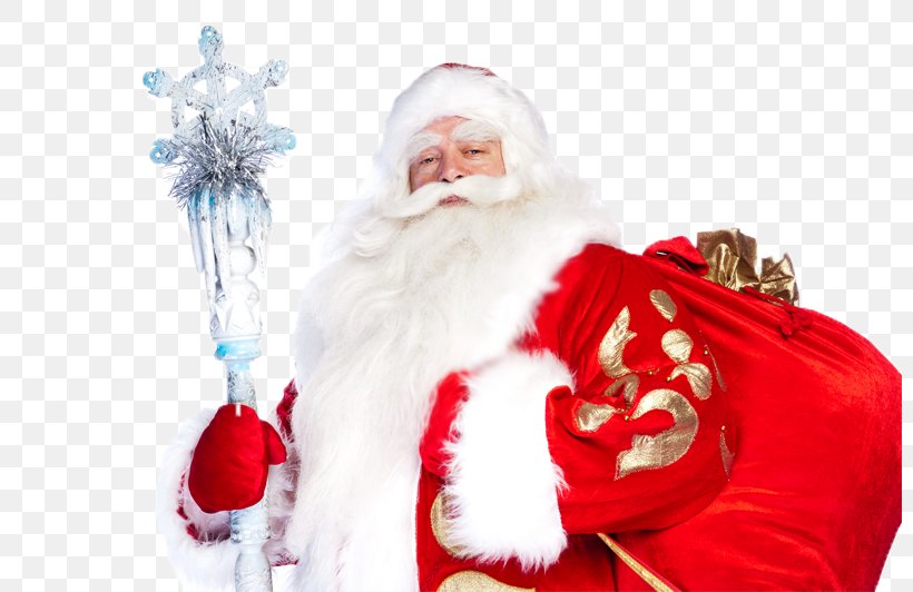 Ded Moroz Snegurochka Jack Frost Santa Claus Ayaz Ata, PNG, 800x532px, Ded Moroz, Child, Christmas, Christmas Decoration, Christmas Ornament Download Free