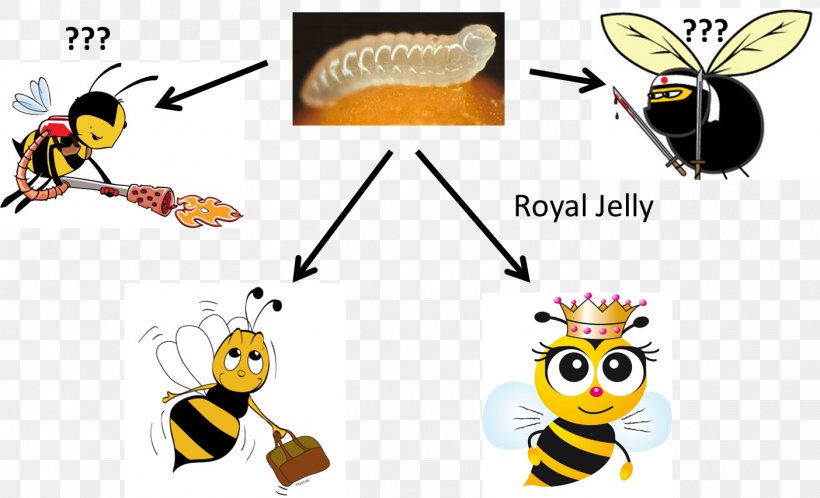 Honey Bee Eevee Pikachu Wasp, PNG, 1404x853px, Honey Bee, Arthropod, Bee, Butterfly, Ditto Download Free