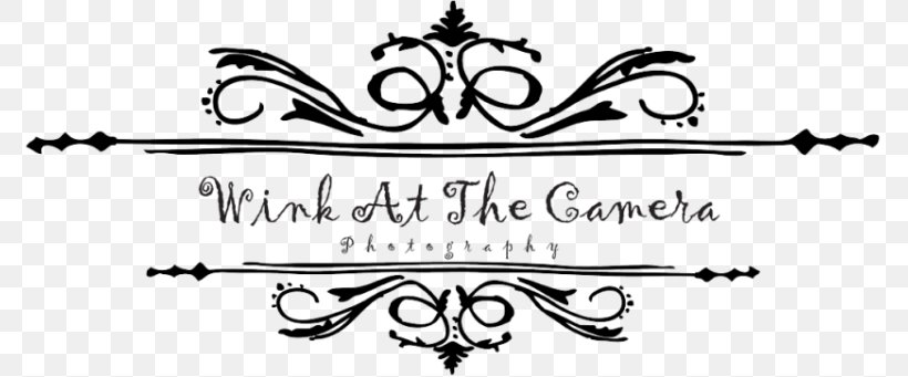 Logo Photography Black And White, PNG, 775x341px, Logo, Area, Art, Black And White, Body Jewelry Download Free