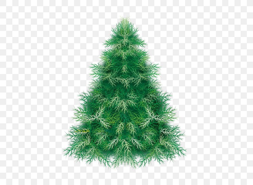 Pine Christmas Tree Spruce, PNG, 600x600px, Pine, Christmas, Christmas Decoration, Christmas Ornament, Christmas Tree Download Free