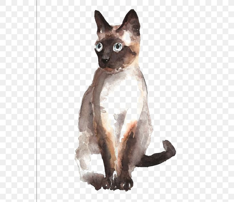 Siamese Cat German Rex Tonkinese Cat Burmese Cat Devon Rex, PNG, 564x709px, Siamese Cat, Burmese, Burmese Cat, Carnivoran, Cat Download Free