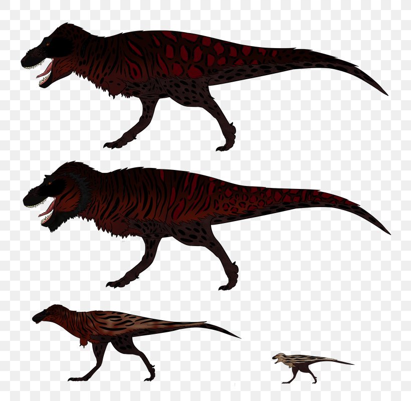 Tyrannosaurus Velociraptor Dinosaur Hell Creek Formation Reptile, PNG, 805x800px, Tyrannosaurus, Aerodactylus, Animal, Animal Figure, Claw Download Free