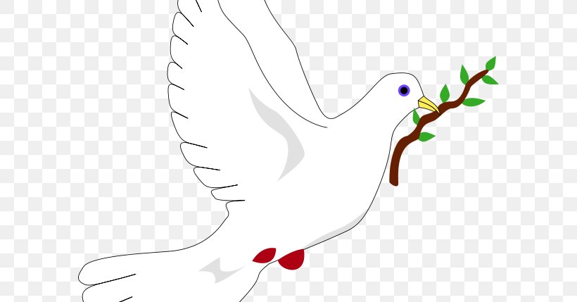 Columbidae Peace Symbols Doves As Symbols Olive Branch, PNG, 598x429px, Watercolor, Cartoon, Flower, Frame, Heart Download Free
