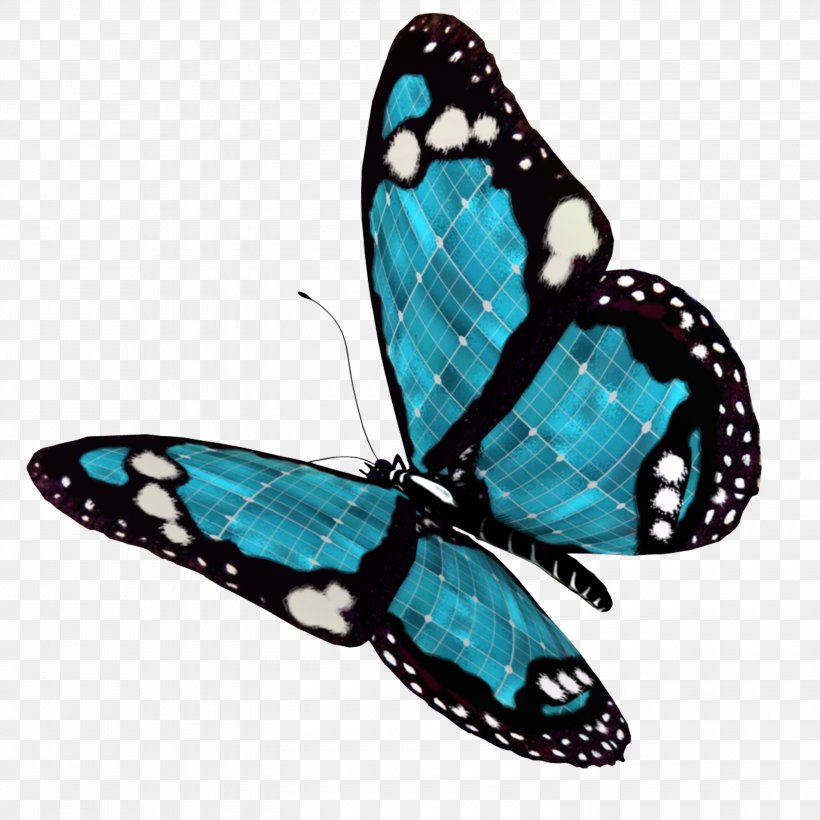 Desktop Wallpaper Butterfly Clip Art, PNG, 3000x3000px, Butterfly, Brush Footed Butterfly, Display Resolution, Image File Formats, Insect Download Free