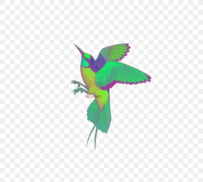Hummingbird Beak Fauna Feather, PNG, 500x736px, Hummingbird, Beak, Bird, Coraciiformes, Fauna Download Free