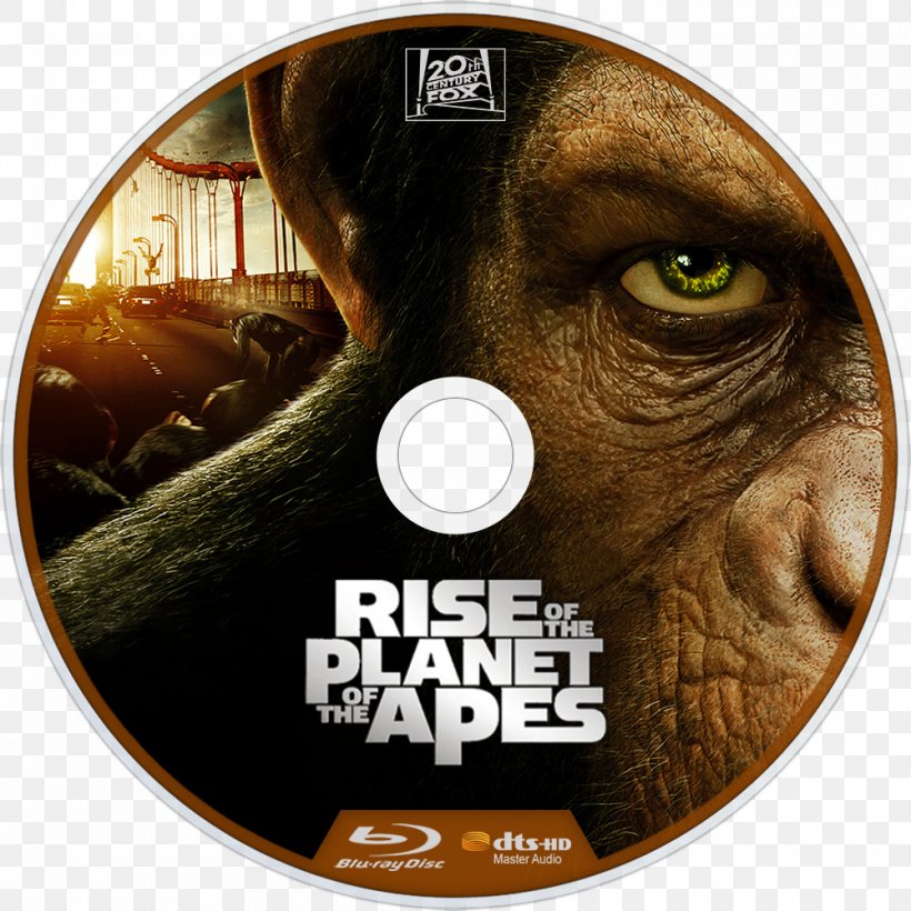 Planet Of The Apes Film Poster Subtitle, PNG, 1000x1000px, Planet Of The Apes, Dawn Of The Planet Of The Apes, Dvd, Film, Film Poster Download Free