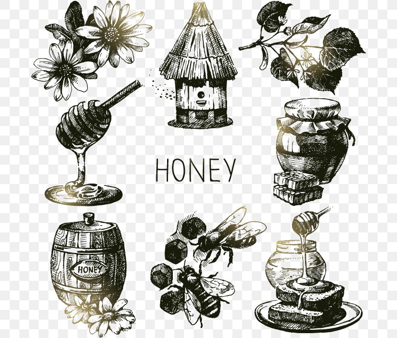 Bee Honey Drawing Illustration, PNG, 692x698px, Bee, Brass, Drawing, Honey, Honey Bee Download Free