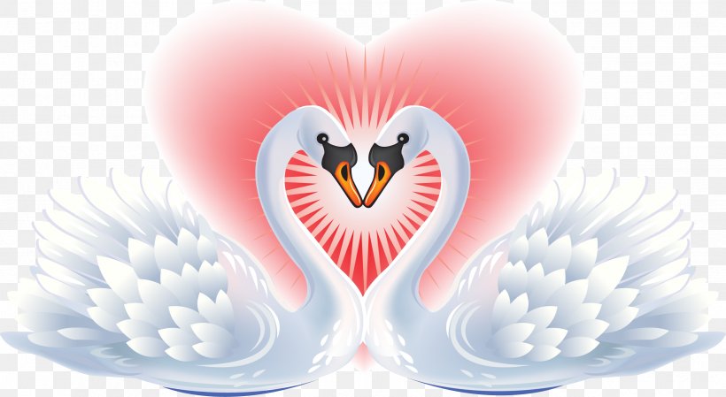 Black Swan Heart Clip Art, PNG, 2499x1369px, Black Swan, Animal, Beak, Blacknecked Swan, Cygnini Download Free