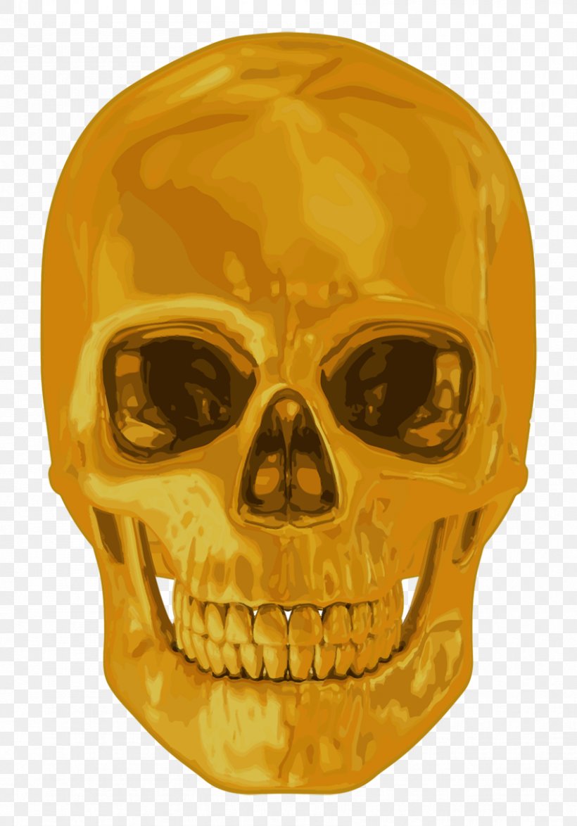 Human Skull Symbolism Stock Photography Gold Teeth, PNG, 847x1213px, Skull, Bone, Gold, Gold Teeth, Human Skeleton Download Free